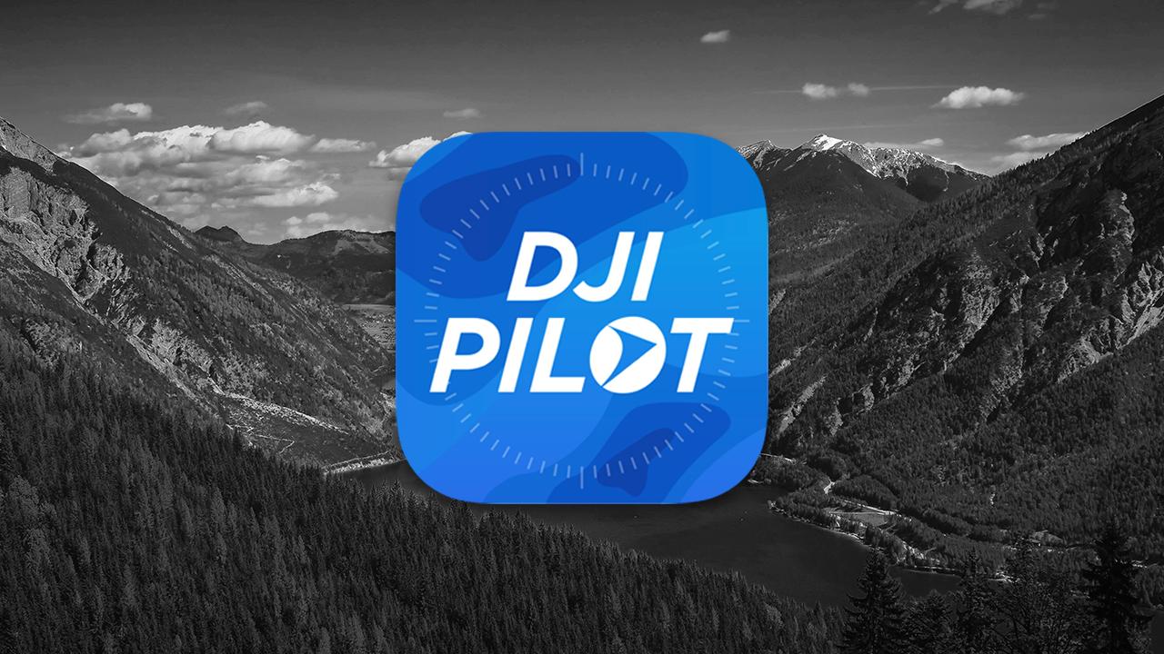 DJI Pilot 2