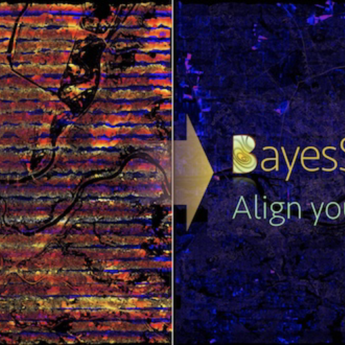 Bayes Strip Align